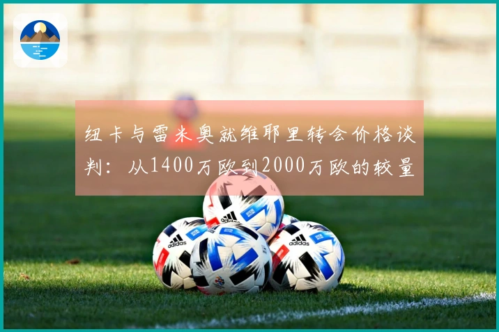 纽卡与雷米奥就维耶里转会价格谈判：从1400万欧到2000万欧的较量